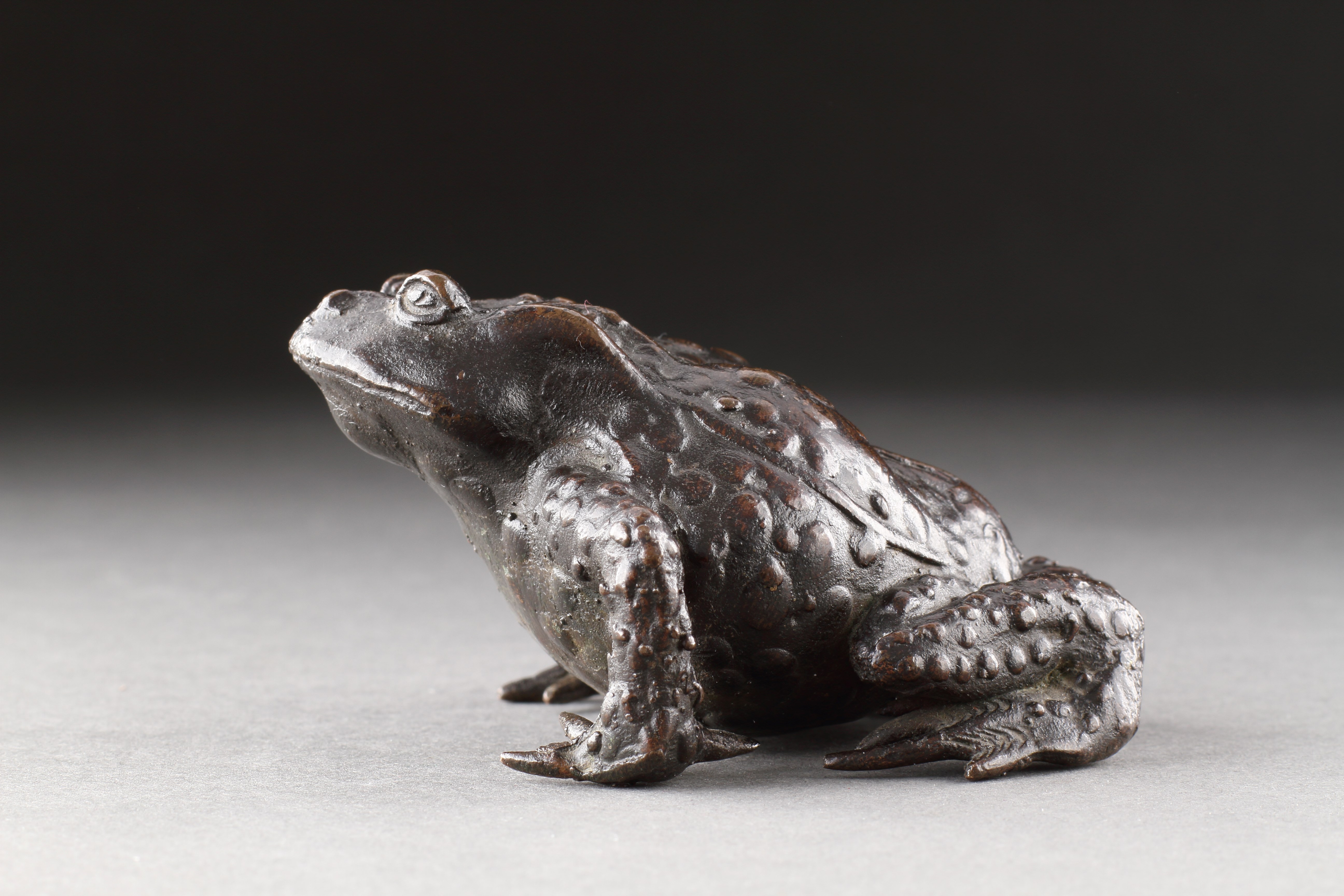 Fine Renaissance Bronze Model of a Toad